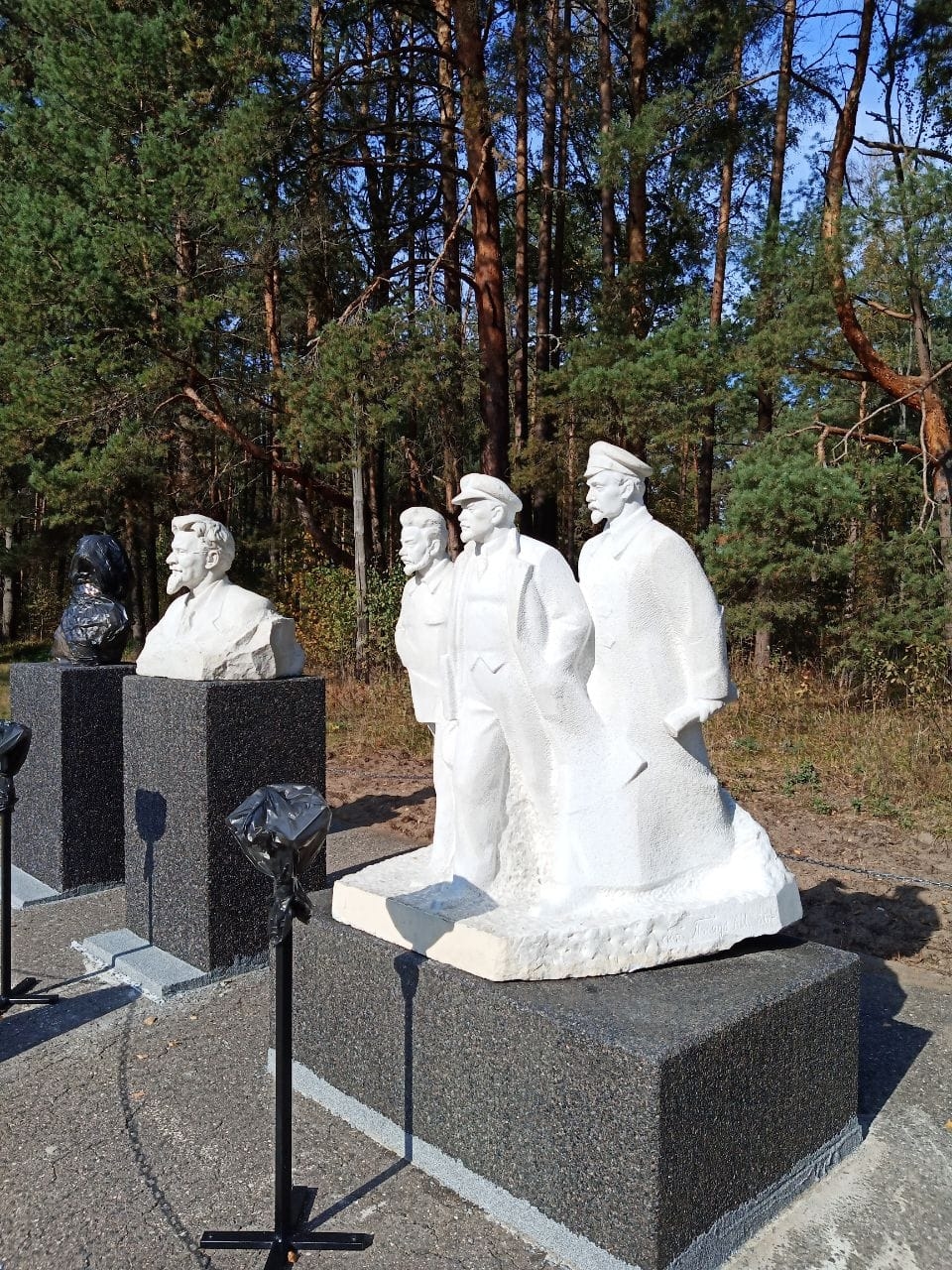 Изображение из галереи