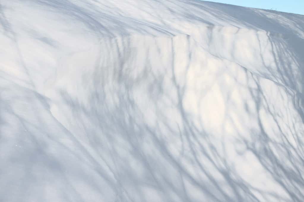 Последний из попавших под снежный завал в Хабаровском крае найден живым