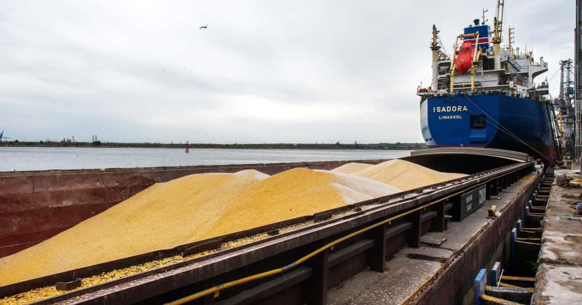 Отправка судов с продовольствием из Украины по «зерновому коридору» возобновится 3 ноября — украинские власти