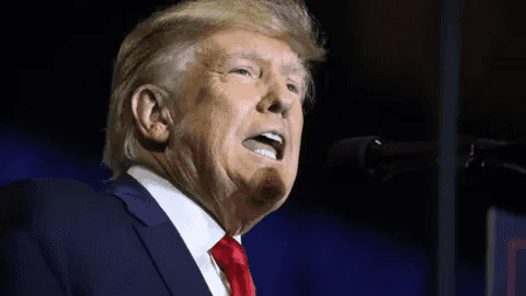 Трамп на месяц приостановил 25-процентные пошлины на импорт из Мексики после разговора с президентом страны 