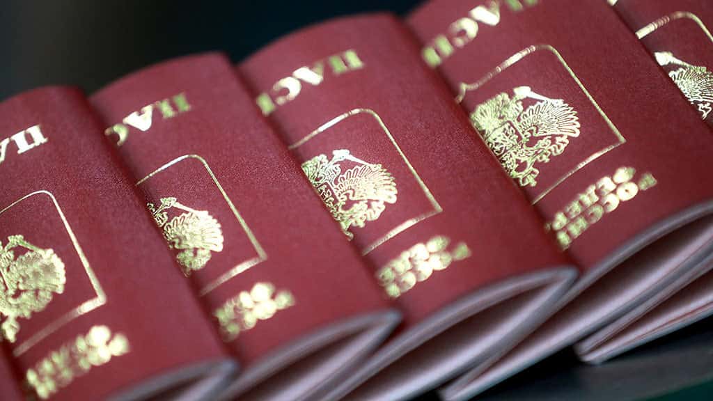 В МВД объявили о рекордном сокращении  количества иностранцев, получивших российские паспорта в 2024 году