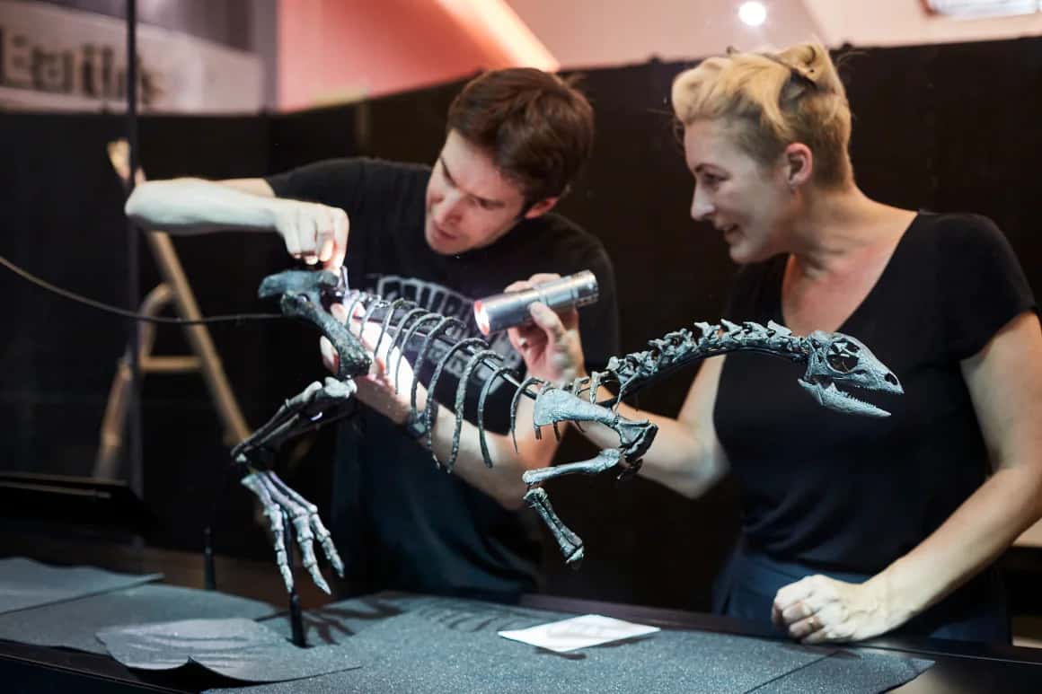 Ученые обнаружили новый вид динозавра размером с собаку