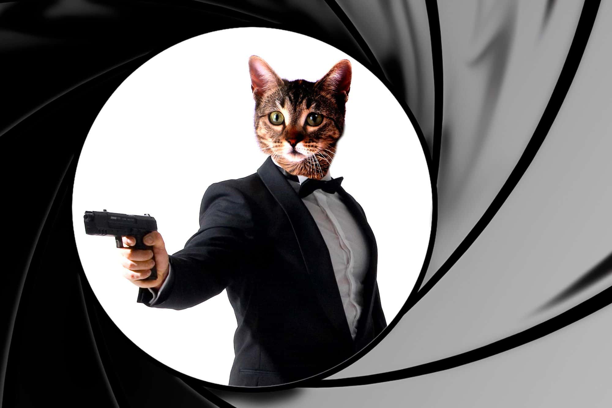 Шпион поневоле. Почему практически любой россиянин может оказаться «иностранным агентом»