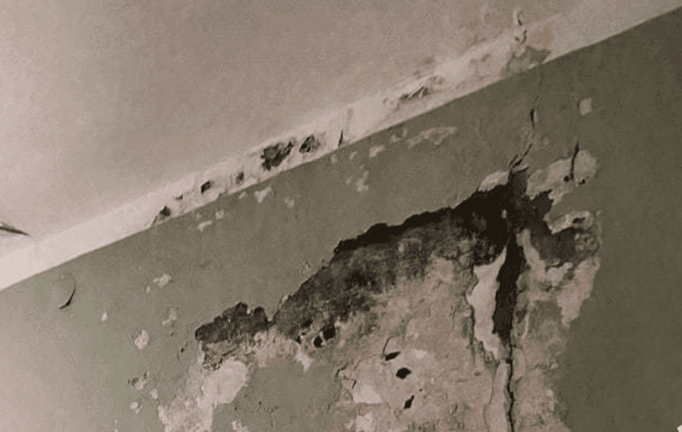 Захар Прилепин похвалил больницу за баннер с буквой Z. Пациенты в ответ показали фото обшарпанных стен, насекомых и плесени