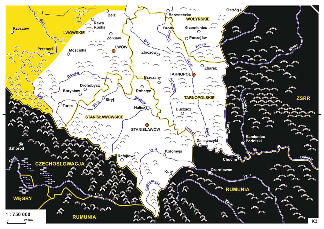 Новая жизнь старого фейка. ТАСС и белорусское телевидение сообщили, что Зеленский пообещал отдать Польше запад Украины