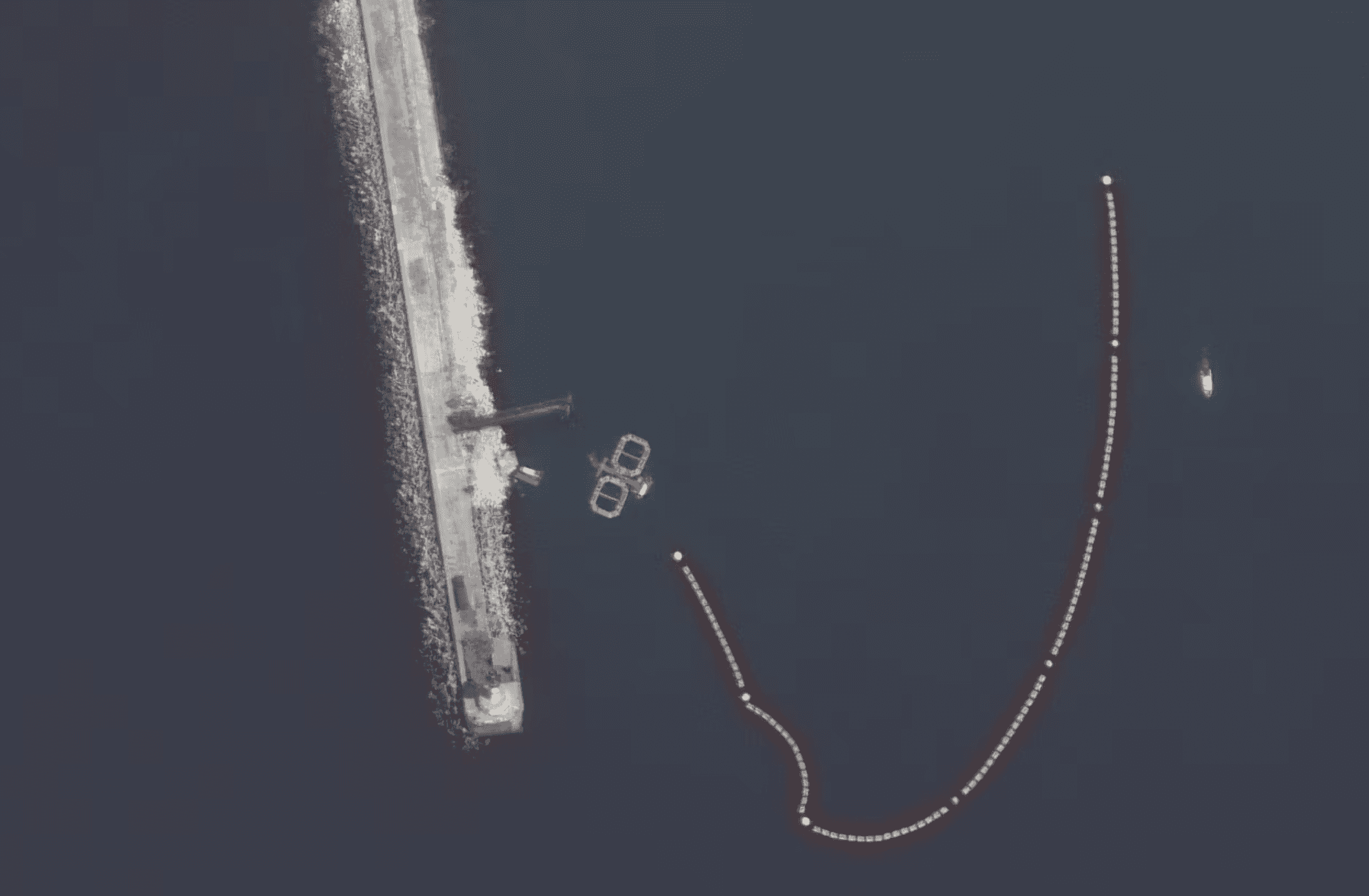 Россия использует боевых дельфинов для защиты бухты Севастополя после украинских атак — Naval News