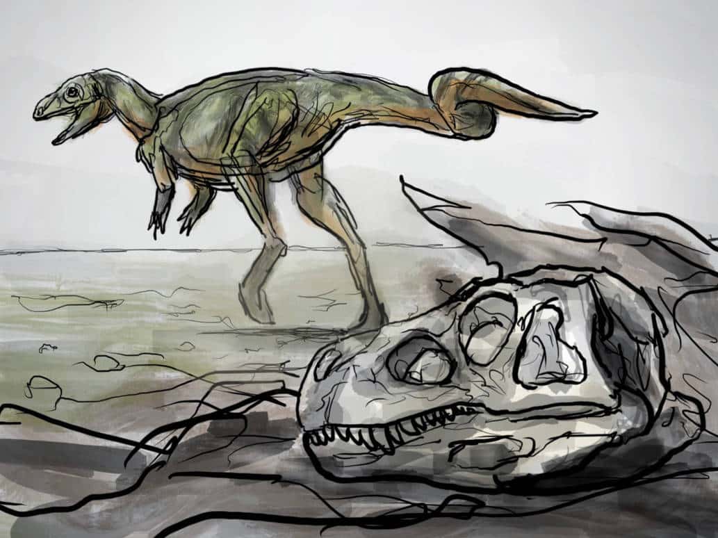 В Аргентине нашли одного из древнейших хищных динозавров с чертами более поздних видов