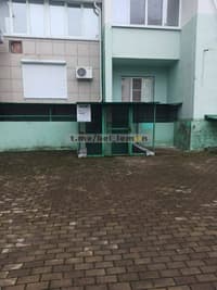 Миниатюра 2