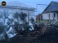 Миниатюра 3