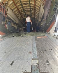 Пони после прибытия в Пулково