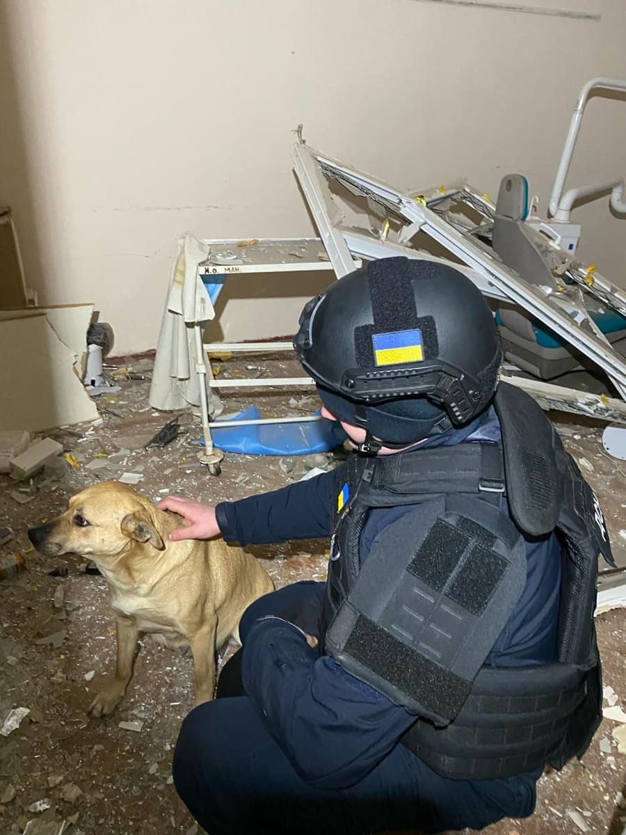 Изображение из галереи