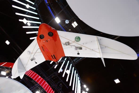 Изображение из галереи