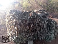 Миниатюра 6