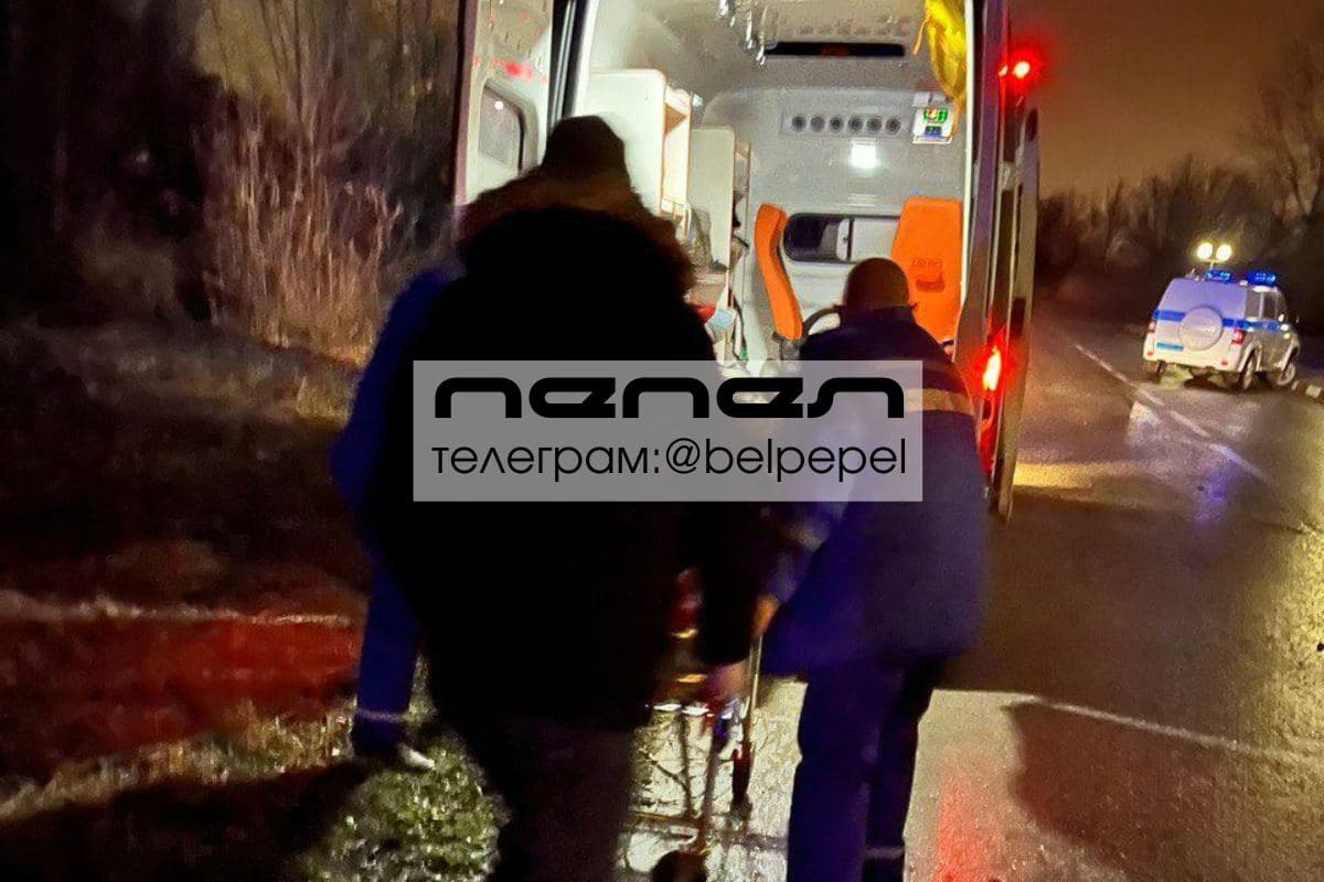 Изображение из галереи