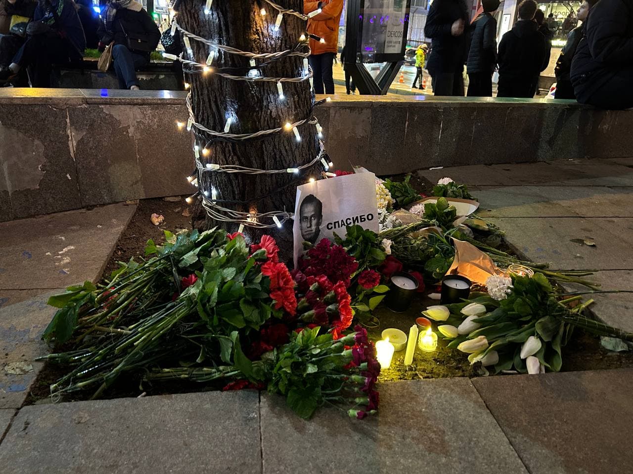 Изображение из галереи