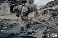 Миниатюра 6