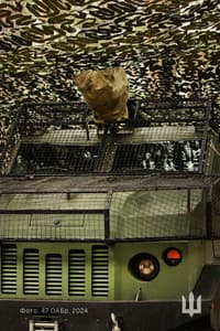 Миниатюра 4