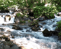 Миниатюра 8