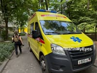 Миниатюра 8