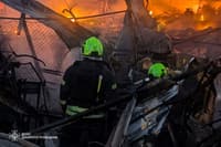 Миниатюра 10