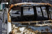 Миниатюра 10