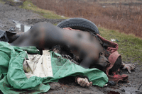 Миниатюра 10