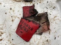 Миниатюра 3