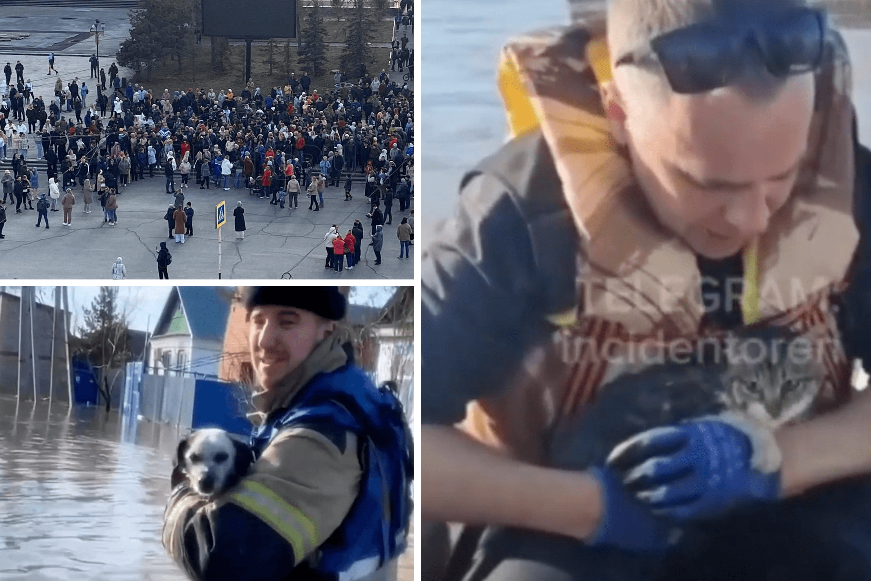 Жители затопленного Орска скандируют «Путин, помоги», волонтеры и рыбаки помогают спасать животных. Как Орск справляется с наводнением