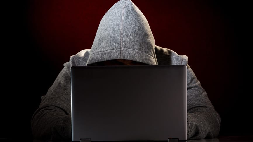 Сбой в работе ИИ выявил размер одной из крупных сеток кремлеботов. Из-за поломки они на все отвечают «Да»