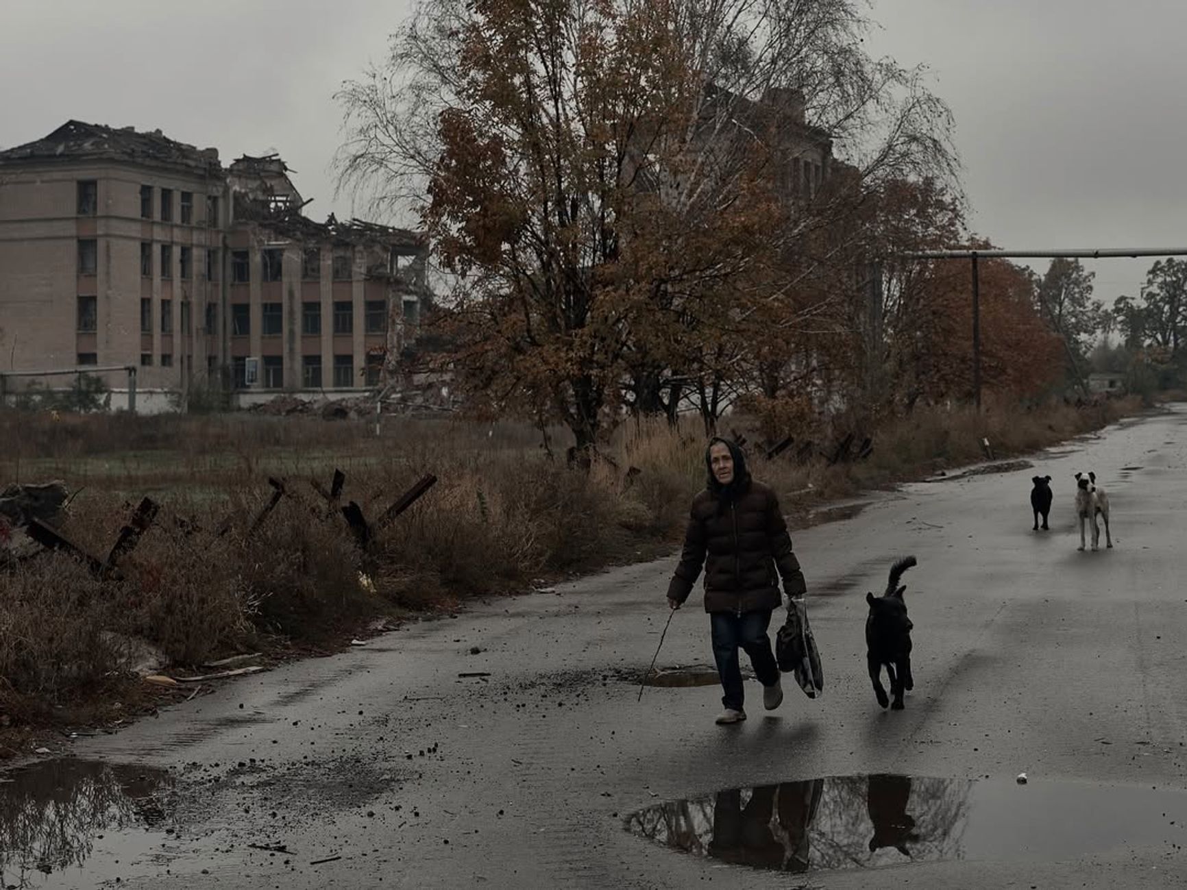 Улица в Константиновке