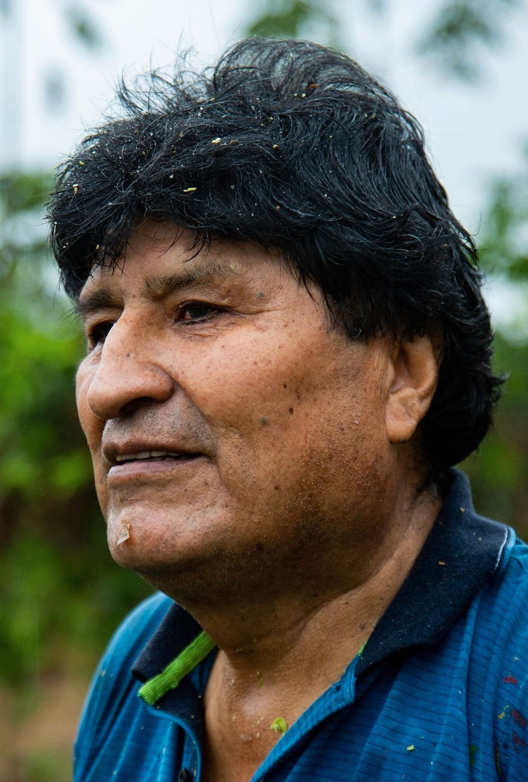 Evo Morales is currently hiding in the tropical Chapare province, where he is guarded by hundreds of cocalero farmers