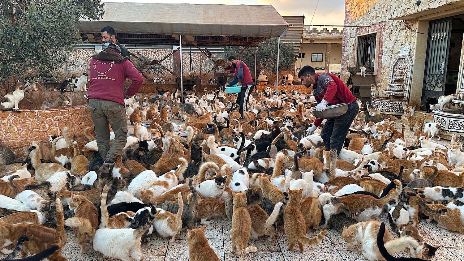 Иллюстрация к материалу