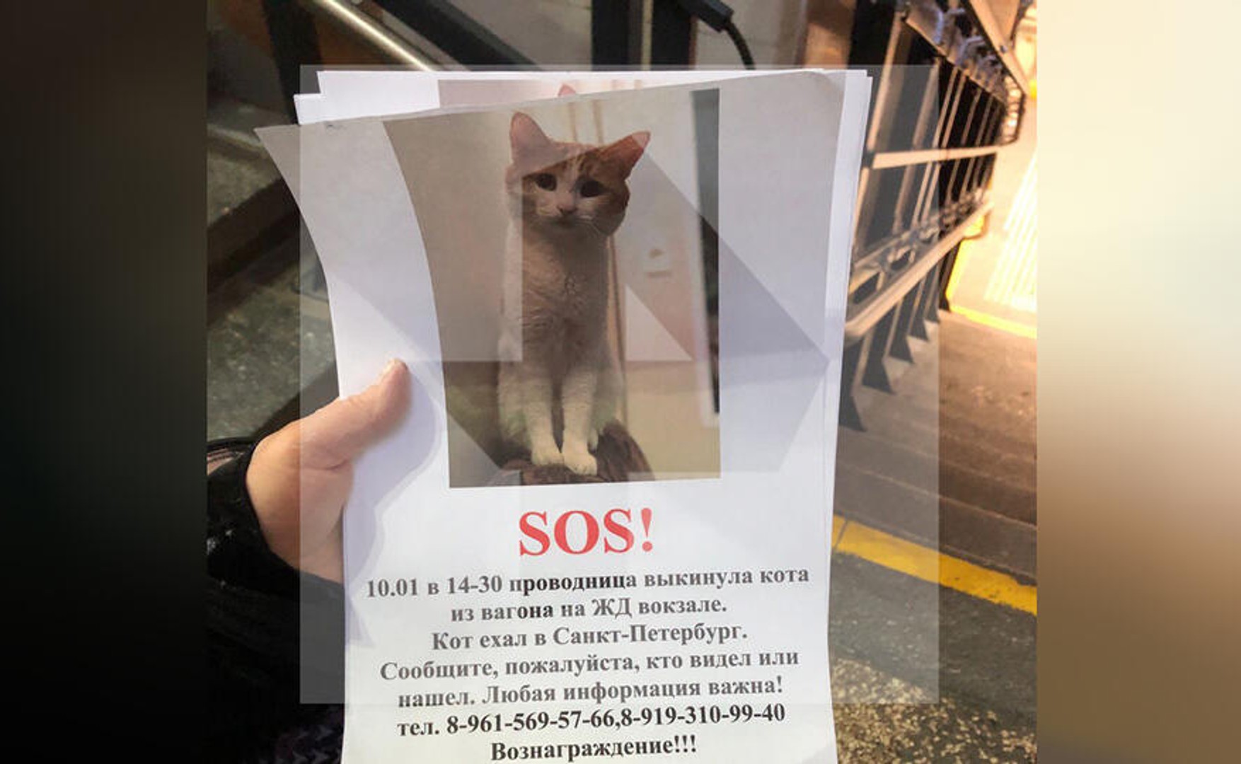 Иллюстрация к материалу