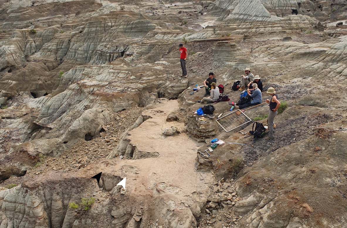 Фото: Phil R. BellBrian J. Pickles Caleb M. Brown